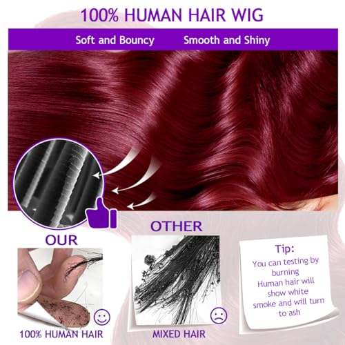 99J Burgundy Lace Front Wigs Human Hair Body Wave 13x6 HD Transparent Lace Front Wigs Human Hair Pre Plucked with Baby 99j Red Wine Glueless Human Hair Wigs for Women 26 Inch