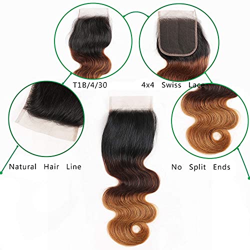 Ombre Bundles With Closure Body Wave Human Hair Brazilian Human Hair 3 Bundles With Closure Weave Hair Human Bundles (12 14 16 + 10 inch, T1B/4/30)