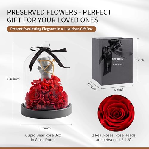 SEEROSE Preserved Rose with Cupid Bear in Glass Dome, Eternal Real Rose Romantic Gift for Her, Women, Mom, Wife, Girlfriend, Valentine¡¯s Day, Mother¡¯s Day, Christmas, Birthday (Cupid Bear, Red)