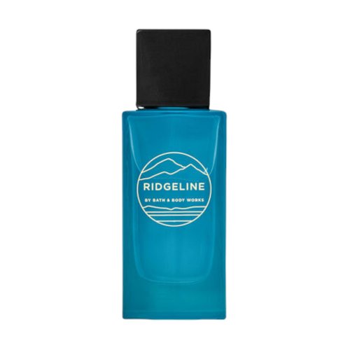 Bath & Body Works Bath and Body Works Men's Fragrance 3.4 Ounces Cologne Spray