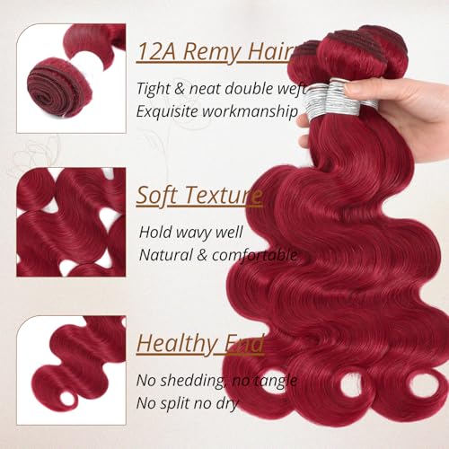 Red Burgundy 3 Bundles Human Hair Body Wave, 12A Colored 100% Unprocessed Remy Hair Soft and Bouncy Burgundy Cherry Red 99J Human Hair Wavy Bundles Sew in Double Weft Quick Weave 10 12 14 Inch