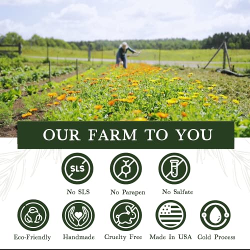 Adirondack Fragrance & Flavor Farm ADK Birch Soap Natural Soap Bar 16oz, Plant-Based Organic Vegan Soap with Essential Oils, Natural Body Wash for Men & Women, Dry and Sensitive Skin