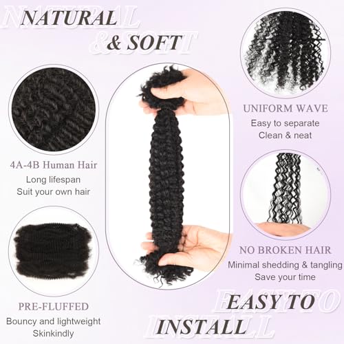 Afro Kinkys Bulk Human Hair Kinky-Curly 100% Real Human Hair for Twist, Braiding, Dreadlocks & Sister Locs, Natural Soft Pre Fluffed, Can Be Dyed Bleached (#1B Natural Black, 22 Inch)