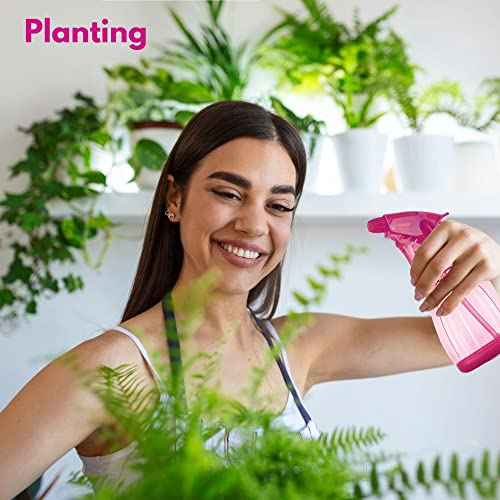 DilaBee Plastic Spray Bottles - 12oz (3 Pack) Water Spray Bottle for Hair, Gardening, Grilling & Cleaning Solution - Empty Spray Bottles for Cat - Small Spray Bottle