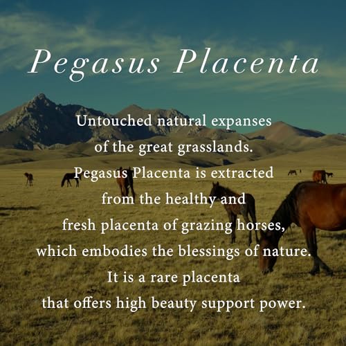 shampoo & conditioner (shampoo & conditioner - US)