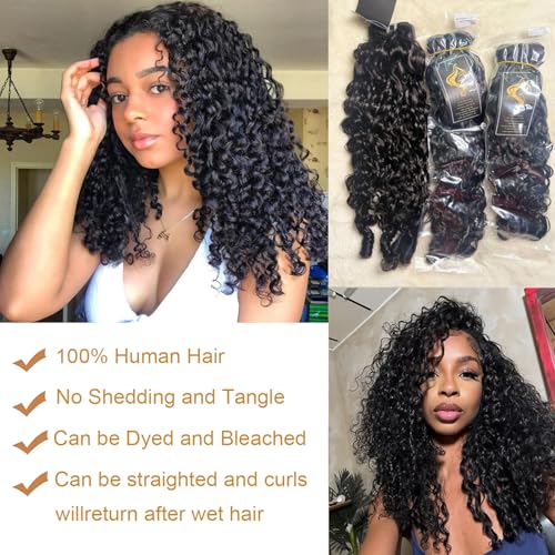 Burmese Curly Bundles Human Hair 16 18 20 Inch 3 Bundles 3C4A Water Wave Human Hair Wet and Wavy 100% Unprocessed Brazilian Virgin Hair Bundles Quick Weave for Women Natural Black