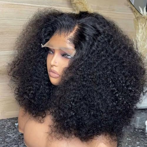 Lemoda 13x4 Burmese Kinky Curly Lace Front Human Hair Wigs Outlets Sale 210% 24Inch Deep Curly 13x4 HD Transparent Lace Frontal Wigs For Women Pre Plucked