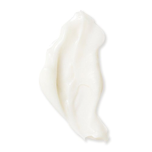 Naturopathica Beech Tree & Ginseng Replenishing Moisturizer, Hydrating and Firming Face Moisturizer, Antioxidant Rich Daily Face Lotion for Men and Women, 1.69 fl oz