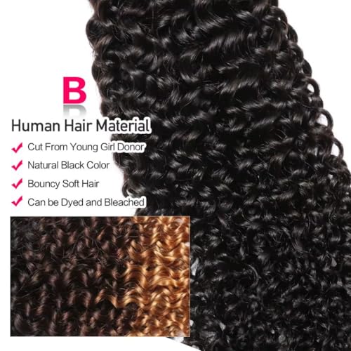 12A Water Wave Human Hair Bundles 20 22 24 Inch Raw Curly Bundles Human Hair,Ultra Double Drawn Sew In Weft No Tangle Shedding,Double Lifespan Virgin Hair,Multiple Washes Keep Texture Silky Soft