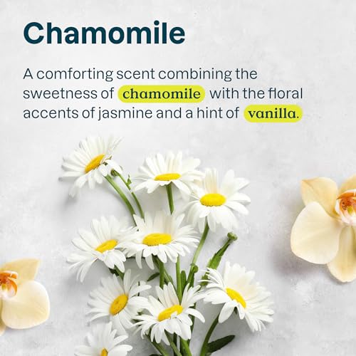 ATTITUDE Hair Shampoo for Sensitive Dry Scalp, EWG Verified, Soothing Oat, For Thin Hair, Naturally Derived Ingredients, Vegan and Plant-Based, Volume and Shine, Chamomile, 16 Fl Oz (Pack of 6)