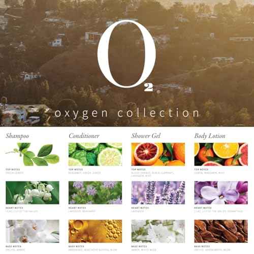O2 Oxygen 300Pcs/22ml Travel Size Mini Shampoo and Conditioner Sets Body Wash Lotion & Soap,Hotel Toiletries,Bulk Set For Guest,Air Bnb Essentials for Guests,Amenity Kit For Hosts Bathroom