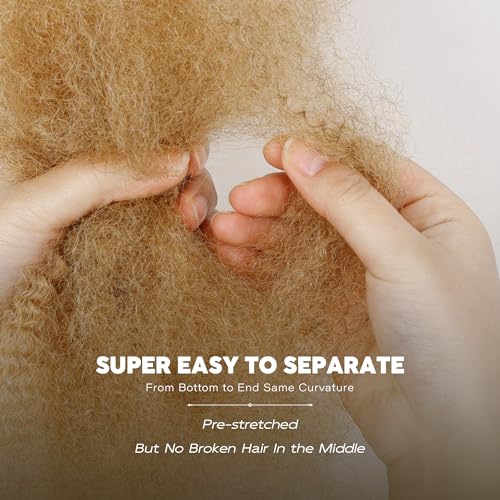 BLL Afro Kinkys Bulk Human Hair-100% Human Hair for Mini Twist Braiding Dreadlock Loc Extensions Afro Kinky Curly Hair Bulk Black Color (27#, 20 Inch (Pack Of 1))