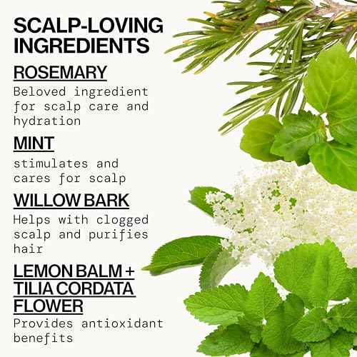 Pacifica Clarifying Shampoo ? Rosemary Purify Invigorating Shampoo w/Soothing Mint for Detoxing Hair & Scalp Build-Up, Sulfate & Silicone Free - Vegan & Cruelty-Free Dermatologist Tested