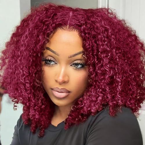 Burgundy Wig Human Hair 13x4 Deep Wave Lace Front Wigs Human Hair Pre Plucked 250% Density 99j Burgundy Lace Frontal Wigs Wet and Wavy Curly Wig for Women (18 Inch)