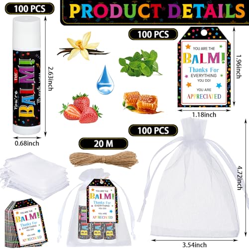 100 Pack Christmas Employee Staff Appreciation Gifts Bulk Lip Balms Team Thank You Gifts Coworkers Teacher Nurse Appreciation Christmas Party Favors Stocking Stuffers for Volunteer Homeless