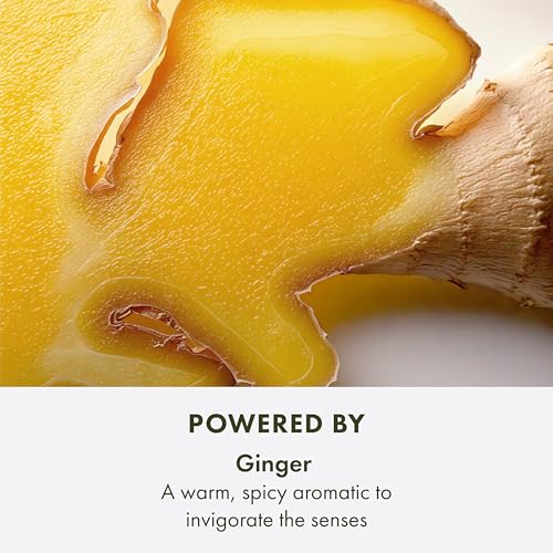 Origins Ginger Essence Perfume | With Notes of Bergamot, Lemon & Lime, 3.4 Fl Oz
