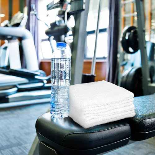 Crystal Ridge Cotton Wash Cloths 10 Pack - Washcloths for Showering, Face and Body, Soft and Highly Absorbent Multipurpose Towels for Bathroom, Kitchen, Spa and Gym - Wash Rags 12 x12 (White)