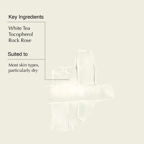 Aesop Parsley Seed Anti-Oxidant Facial Hydrating Cream | A Potent, Soothing Cream with Botanicals and Anti-Oxidants | 2.0 fl oz