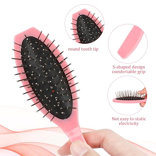 2 Pack Stainless Steel Wig Wire Brush, Portable Professional Synthetic Hair Brush and Combs for Wigs, Extensions, Women