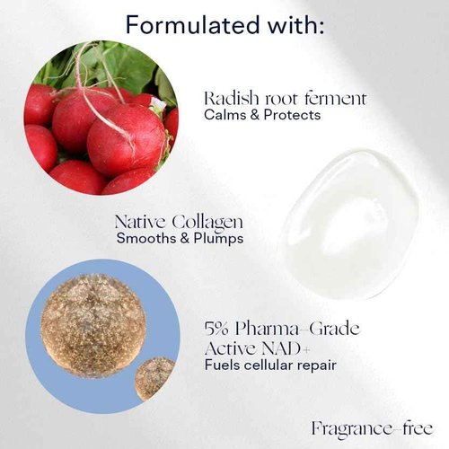 Intuisse - Active NAD+ Collagen Eye Mask - 5% Pharma-Grade NAD+ Advanced Liposomal Formulation - Smoothing & Depuffing Patches - Peptide-Enhanced Undereye Treatment (0.44 fl oz)