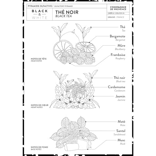Compagnie de Provence Savon de Marseille Extra Pure Liquid Soap, Black Tea, Two 33.8 Fl Oz Plastic Bottle Refills