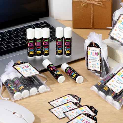 25 Pack Christmas Employee Staff Appreciation Gifts Bulk Lip Balms Team Thank You Gifts Coworkers Teacher Nurse Appreciation Christmas Party Favors Stocking Stuffers for Volunteer Homeless