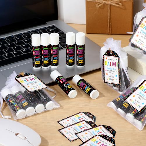 100 Pack Christmas Employee Staff Appreciation Gifts Bulk Lip Balms Team Thank You Gifts Coworkers Teacher Nurse Appreciation Christmas Party Favors Stocking Stuffers for Volunteer Homeless