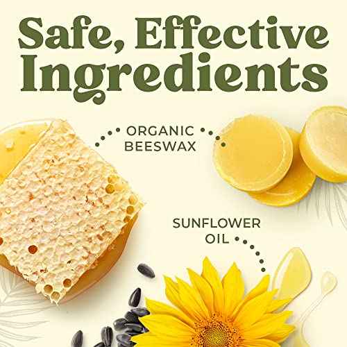 Earth's Daughter USDA Organic Lip Balm 6-Pack - Fruit Flavors, Beeswax, Coconut Oil, Vitamin E - Best Lip Repair Chapstick for Dry Cracked Lips - Moisturizing Lip Care