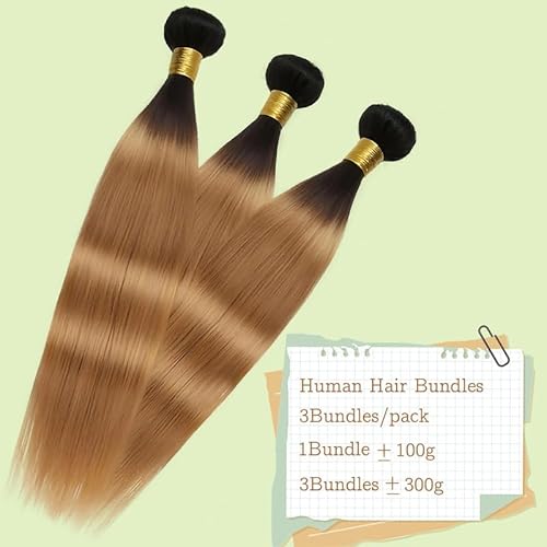 Honey Blonde Body Wave Bundles Human Hair T1B/27 Ombre Bundles Double Weft Brazilian Human Hair Sew-In Weave Extensions 26 28 30 Inch£¨Black Ombre Honey Blonde£©