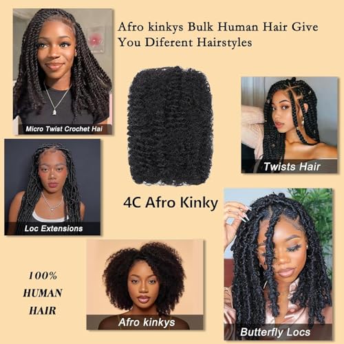 Afro Kinkys Bulk Human Hair 22 Inch for Braiding Afro Kinky-Curly Human Hair Bulk For Mini Twist, Repair Locs Hair Bulk Human Braiding Hair for Micro Dreadlocs Extensions(1B,35g/pack)