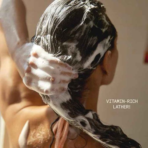 DAE Signature Shampoo - Cleanses & Hydrates Dry Hair & Scalp (32 oz.)