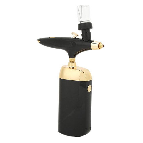 Fafeicy Oxygen Facial Airbrush, Oxygen Facial Airbrush, Airbrush, Oxygen Infusion Facial Spray Double Gravity Trigger Salon Beauty Device, Home (Black Set)