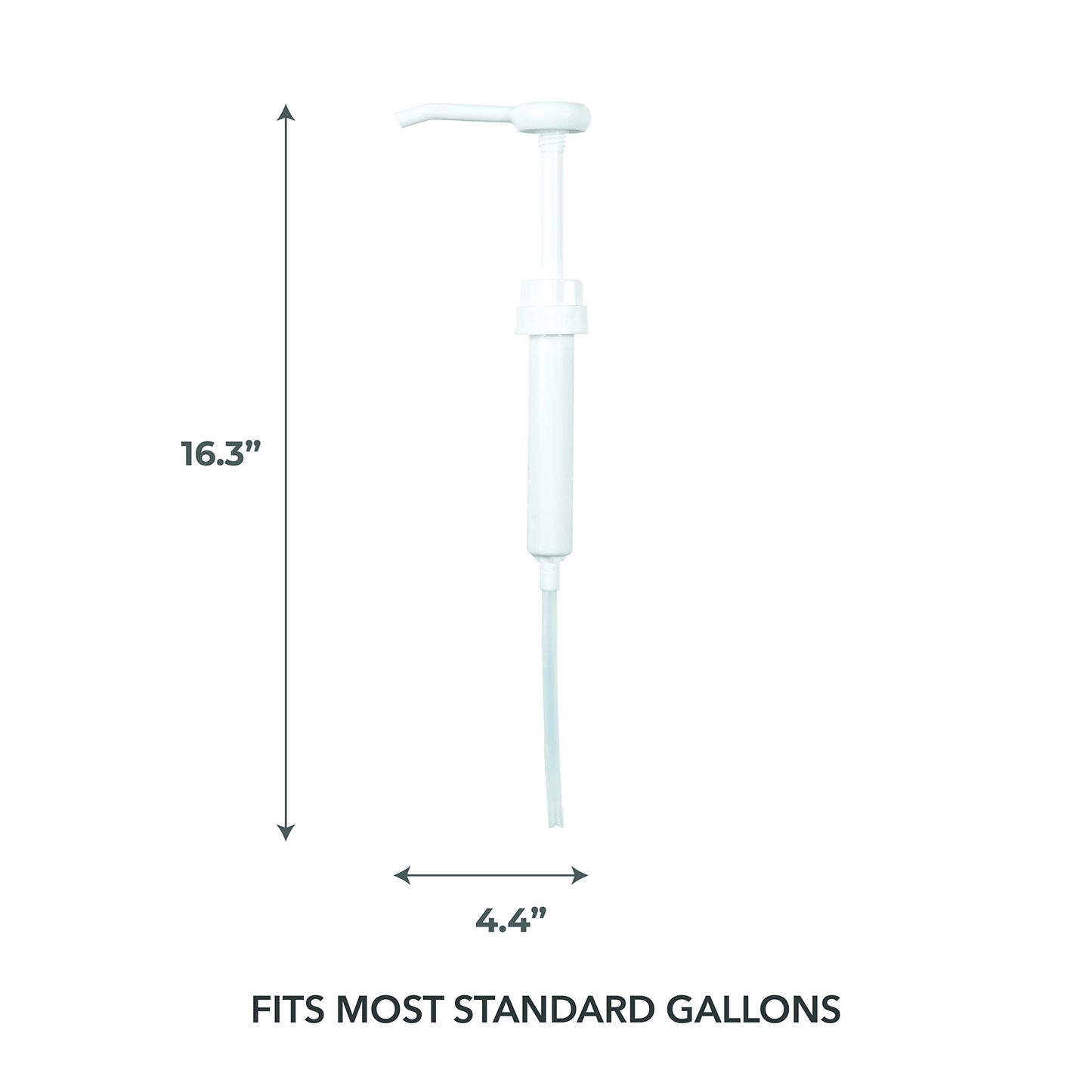 Ginger Lily Farms Island Tranquility Body Wash + Shampoo + Conditioner + (3) Pumps Bundle