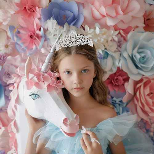 Schmoopy Tiara Crown for Women, Crystal Tiara for Bridal Prom Queen Birthday Birthday Party (A-Silver)