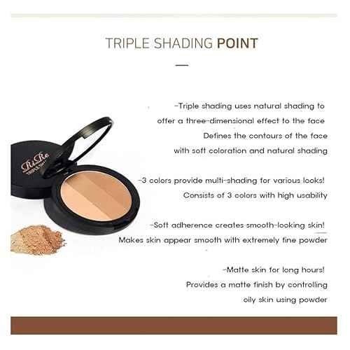 Generic Triple Shading & Brush Set 9.5g, Facial Contouring Natural Powder Smooth Expression ((#Light Beige #Dark Beige #Brown)