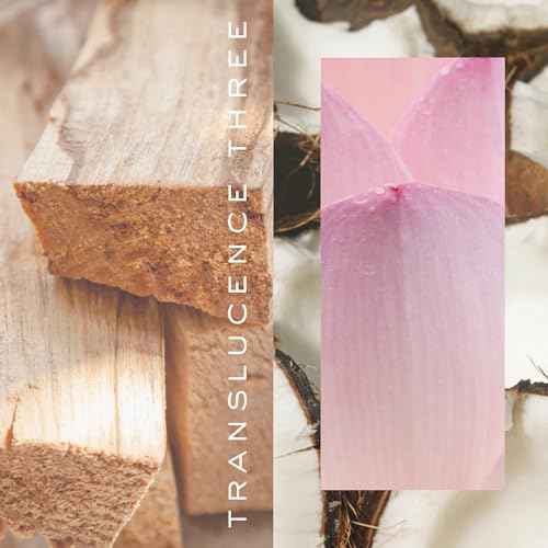 Kristin Ess Hair Perfume Translucence Three - Tropical Scented Hair Mist - Coconut, Lily and Palo Santo, Instantly Refreshes, Deodorizes Hair and Enhances Shine, 2.5 fl. oz - Travel Size