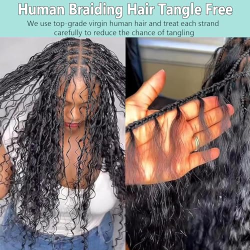 Human Braiding Hair for Boho Braids 100g 26 Inch Deep Wave Bulk Human Hair Braiding Hair Wet and Wavy No Weft Brazilian Virgin Culry Human Hair Extensions for Braiding Black Women 2 Bundles