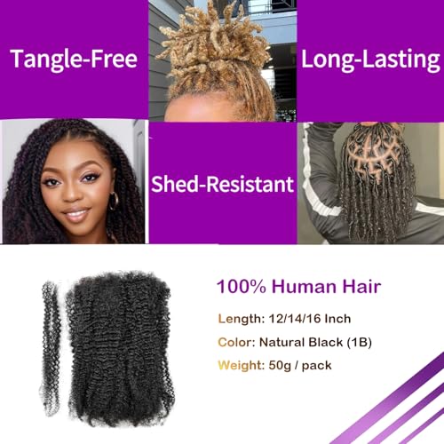 ¡°Afro Kinky Curly Bulk Human Hair 16 Inch, 100 g (2 ¡¿ 50 g Bundles)100% Human Hair for Loc Extensions, Braiding, Mini Twists, Crochet & Loc Repair, #1B Natural Black, with Hook & Comb¡±