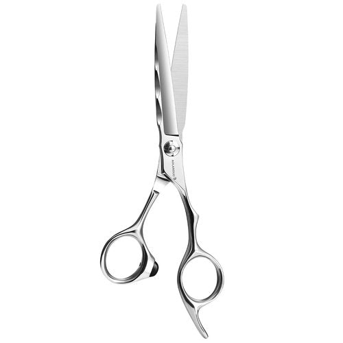 AOLANDUO Professional Shears for Hair Cutting, VG10 Steel Scissors to Cut Hair Professional, Precision Barber & Hair Stylist Shears, Ergonomic, 1 Count, 6.0 Inch