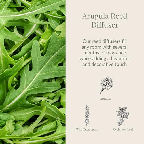Archipelago Botanicals Arugula Reed Diffuser, Home Fragrance Reed Diffuser, Includes Fragrance Oil, Decorative Wooden Cap & 10 Diffuser Reeds, Perfect for Home, Office or Gift, 7.85 fl oz