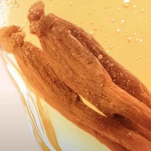 Donginbi Red Ginseng 1899 Single Essence - Firming & Hydrating Serum with Hyaluronic Acid, Korean Red Ginseng Essence, Korean Skin Care Gifts for Women, 4.06 floz / 120ml