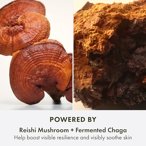 Origins Mega-Mushroom Hydra Burst Lightweight Moisturizer | Reduces Visible Redness | With Niacinamide & Reishi Mushroom, 1.7 Fl Oz