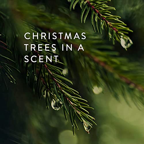 Thymes Bar Soap Trio Gift Set - Frasier Fir - Natural Hand Soaps - Contains Three - Cruelty-Free and Vegan - Pine Tree Scented Hand and Body Soap - 5.5 Oz Bars