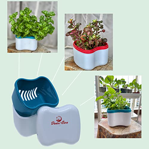 3 Minute Denture Cleaner 30 Tablets in Triplemint Bundle with Dentu-Care Denture Cleaning Cup Case With Lid Basket and Draining Basket for Cleaning and Storing