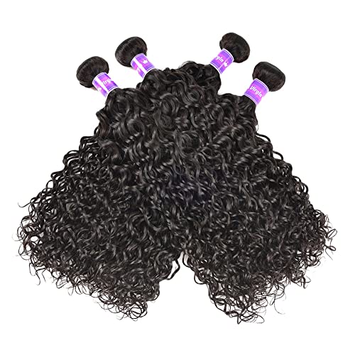 Water Wave Human Hair 4 Bundles (12 14 16 18 Inch) Brazilian Virgin Water Curly Bundles 100% Unprocessed Human Hair Weave Remy Hair Weft for Black Women Natural Color