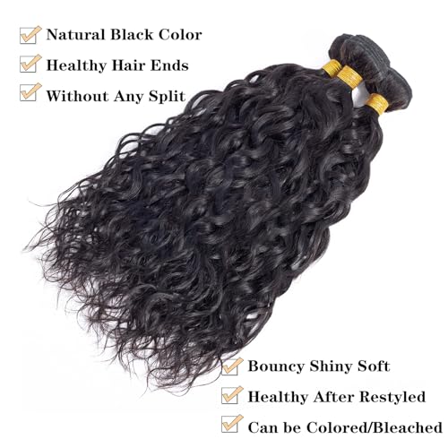 ROYAL IMPRESSION 12A Water Wave 3 Bundles Human Hair 12" 14" 16" 300g 100% Unprocessed Brazilian Virgin Hair Wet and Wavy Human Hair Weave Bundles Natural Color