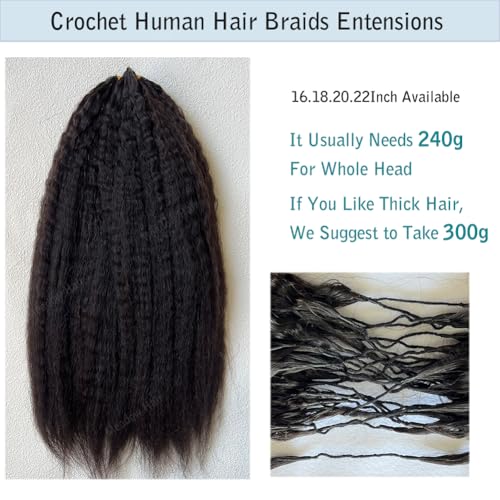 Kinky Straight Knotless Pre Separated Crochet Human Hair Extensions Pre Looped Braids Bundles With Threading Burmese Virgin Human Hair for Braiding Micro Link Meadow Hair 18inch 60g
