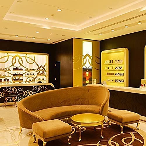 CAMELIA GARDEN 40mL Unisex Perfume for Men and Women, a Deep, Mysterious and Intense Fragrance. Fresh Fruits, Subtle Florals, Deep Wood, Leather and Oud by Al Maghribi Perfumes Dubai