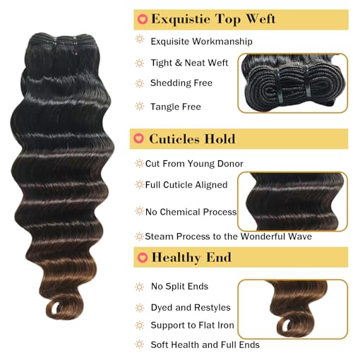 1B/2/30 Ombre Bundles With 4x4 Closure Loose Deep Wave Human Hair 12 14 16+12 Inch,10A Brazilian Hair Ombre Chestnut Brown Curly Wave Sew In Bundles and 4x4 Lace Closure