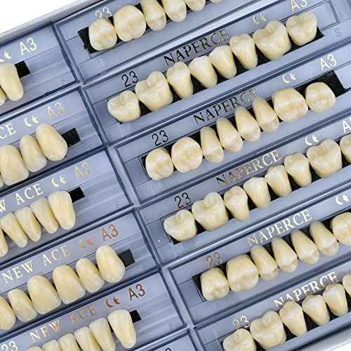 168 Pcs Dental Synthetic Resin Tooth Denture 3 Sets False Teeth 23 A3 Upper Lower Shade Dental for Halloween Horror Teeth